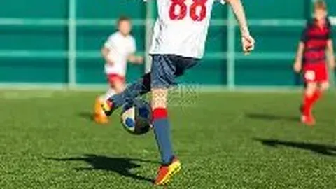 《塞内加尔梦幻阵容升级！雅克松领航，姆巴耶、马马杜-萨尔闪耀登场》