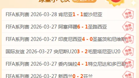 《夜球日志》12月21日：规划行动纪实