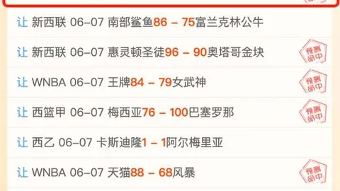 赛场专注秘诀大公开：德拉普如何通过饮食打造冠军营养师